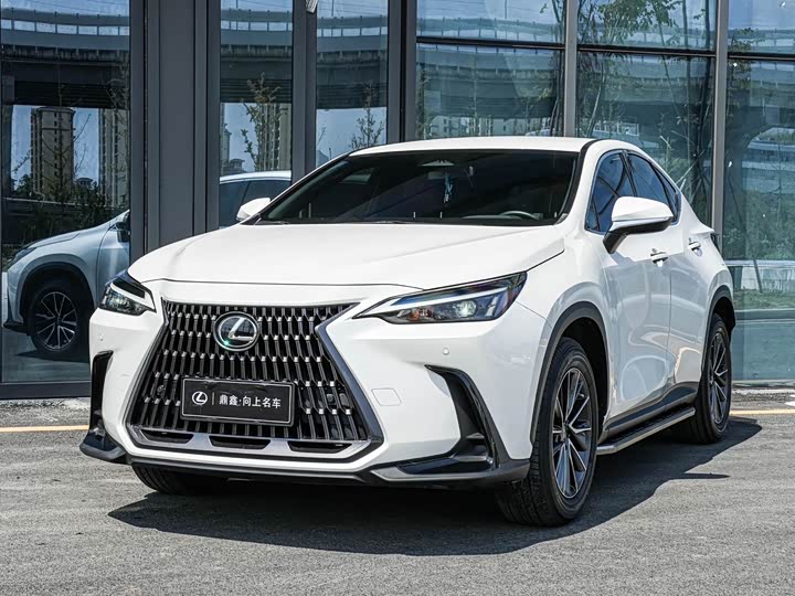 Lexus NX 2023 2023款 260 前驱 创驰版