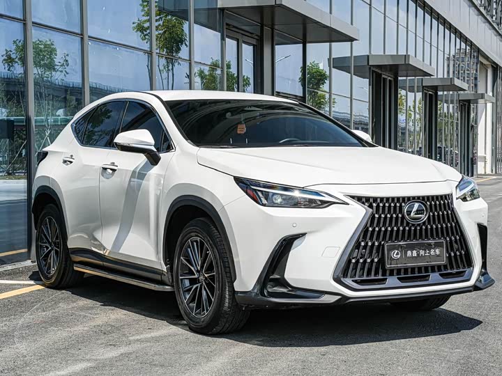 Lexus NX 2023 2023款 260 前驱 创驰版