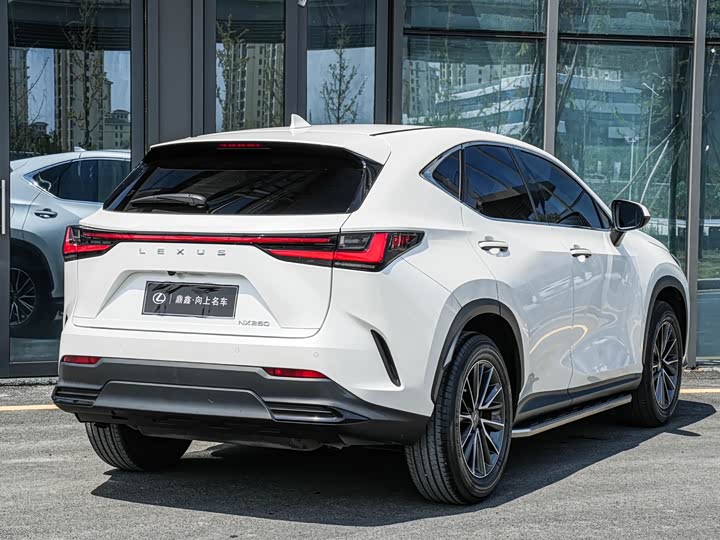 Lexus NX 2023 2023款 260 前驱 创驰版