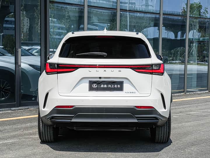 Lexus NX 2023 2023款 260 前驱 创驰版