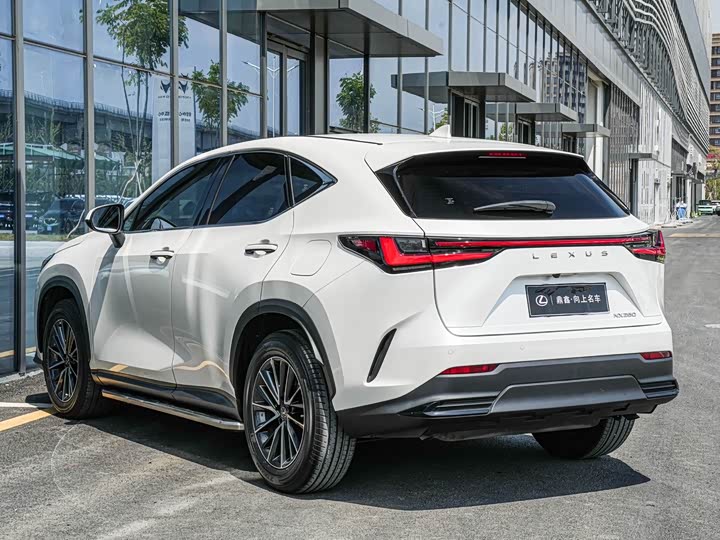 Lexus NX 2023 2023款 260 前驱 创驰版