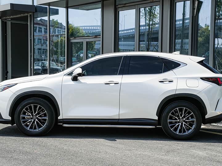 Lexus NX 2023 2023款 260 前驱 创驰版