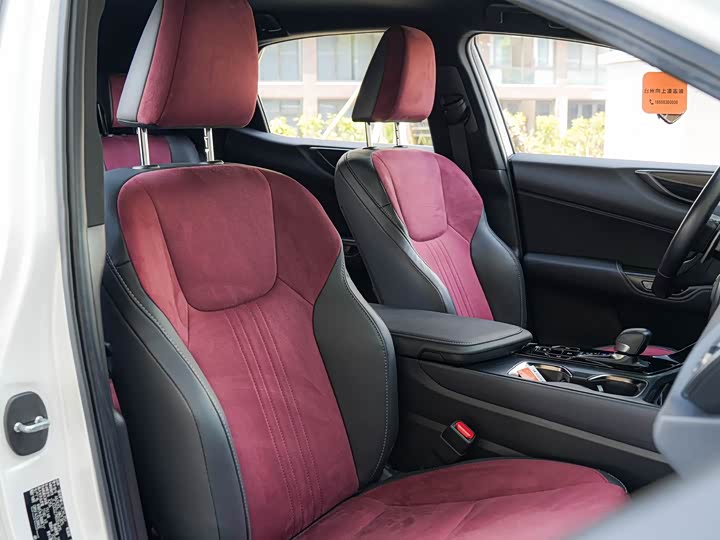 Lexus NX 2023 2023款 260 前驱 创驰版