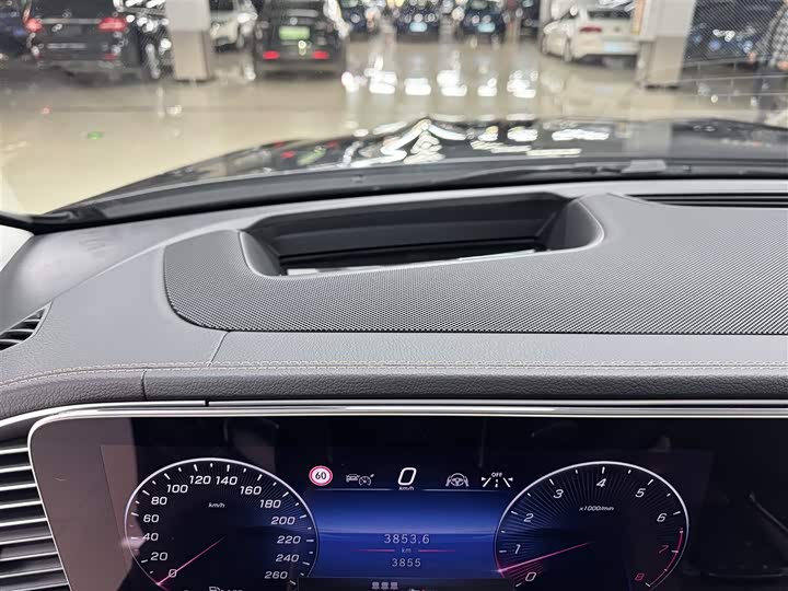 Mercedes-Benz GLS-Class 2024 2024款 GLS 450 4MATIC 豪华型