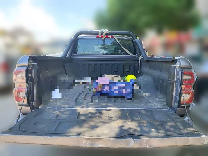 Great Wall King Kong Poer 2022 2022款 2.0T手动柴油两驱创业型长箱GW4D20M