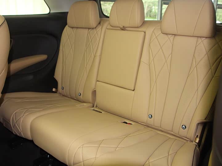 Denza D9 2024 2024款 DM-i 1050 尊享型