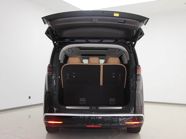 Denza D9 2024 2024款 DM-i 1050 尊享型