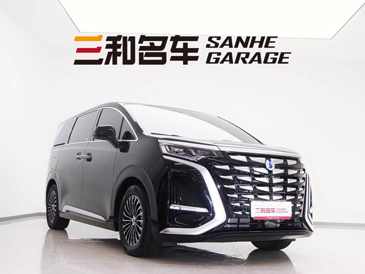 Denza D9 2024 2024款 DM-i 1050 尊享型