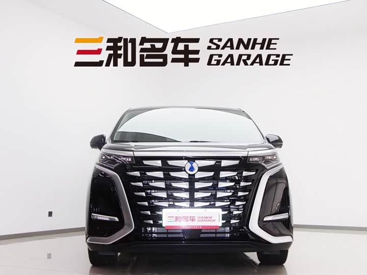 Denza D9 2024 2024款 DM-i 1050 尊享型