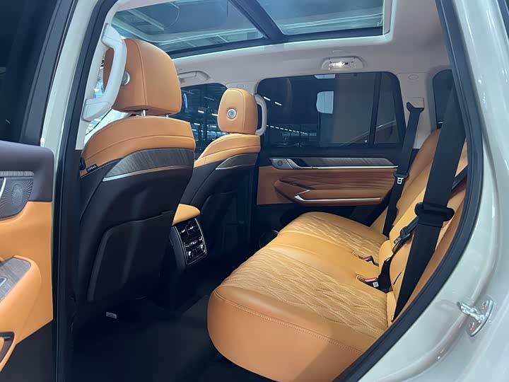 Tank 500 Hybrid 2025 2025款 Hi4-Z