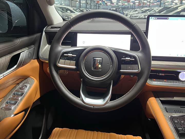 Tank 500 Hybrid 2025 2025款 Hi4-Z