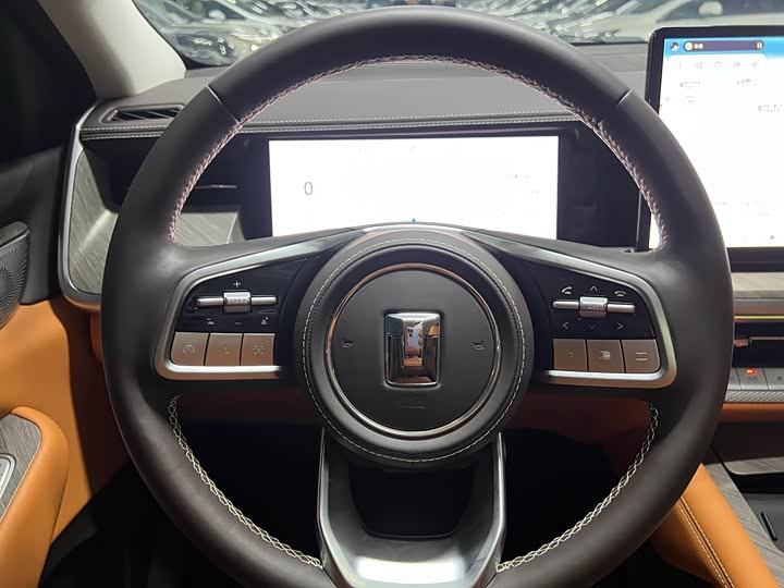 Tank 500 Hybrid 2025 2025款 Hi4-Z