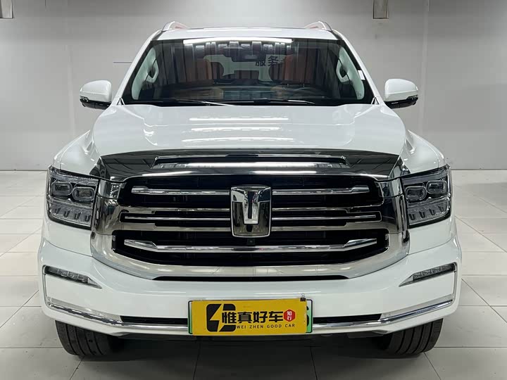 Tank 500 Hybrid 2025 2025款 Hi4-Z