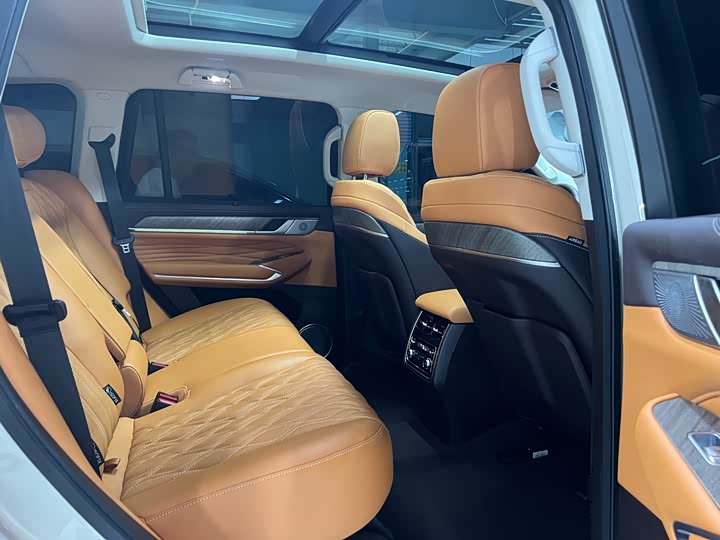 Tank 500 Hybrid 2025 2025款 Hi4-Z