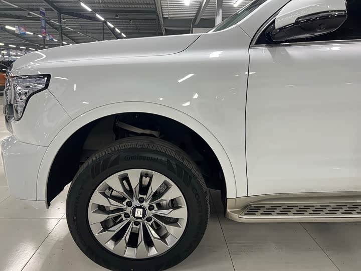 Tank 500 Hybrid 2025 2025款 Hi4-Z