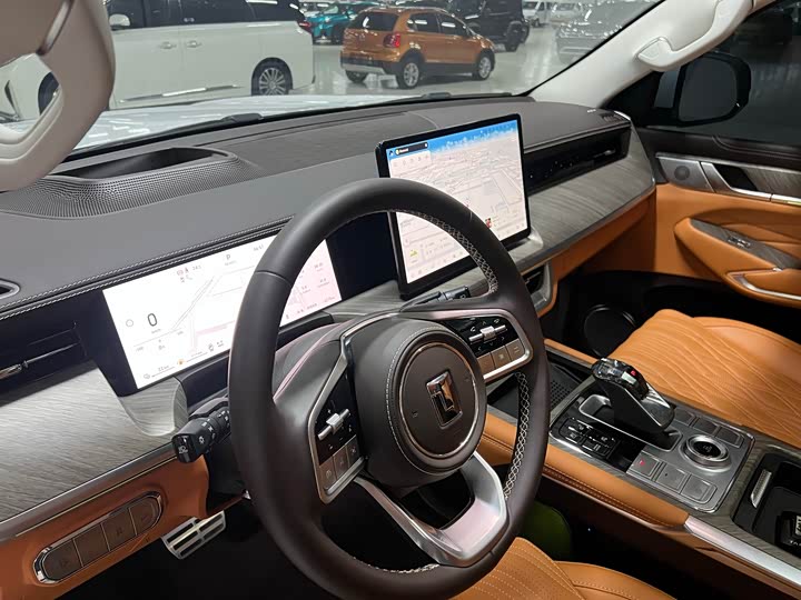 Tank 500 Hybrid 2025 2025款 Hi4-Z