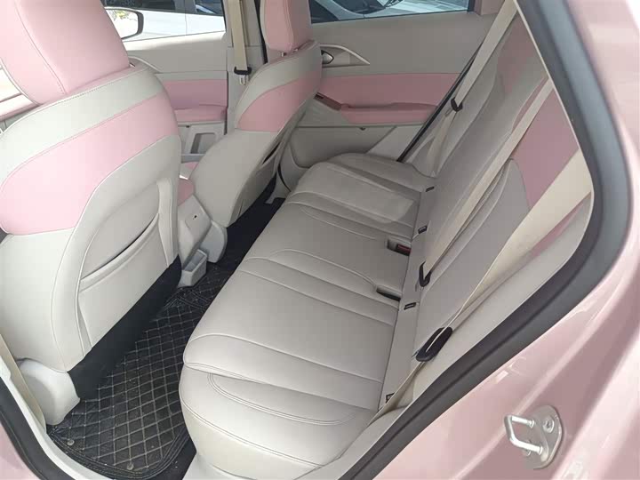 Geely Geometry E Firefly 2024 2024款 301km 星光