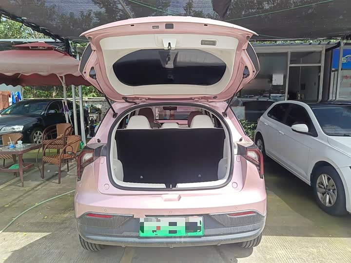 Geely Geometry E Firefly 2024 2024款 301km 星光