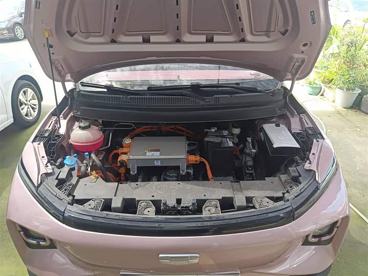 Geely Geometry E Firefly 2024 2024款 301km 星光