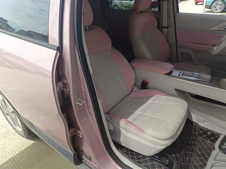 Geely Geometry E Firefly 2024 2024款 301km 星光