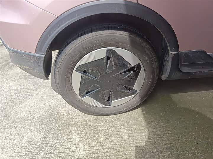 Geely Geometry E Firefly 2024 2024款 301km 星光