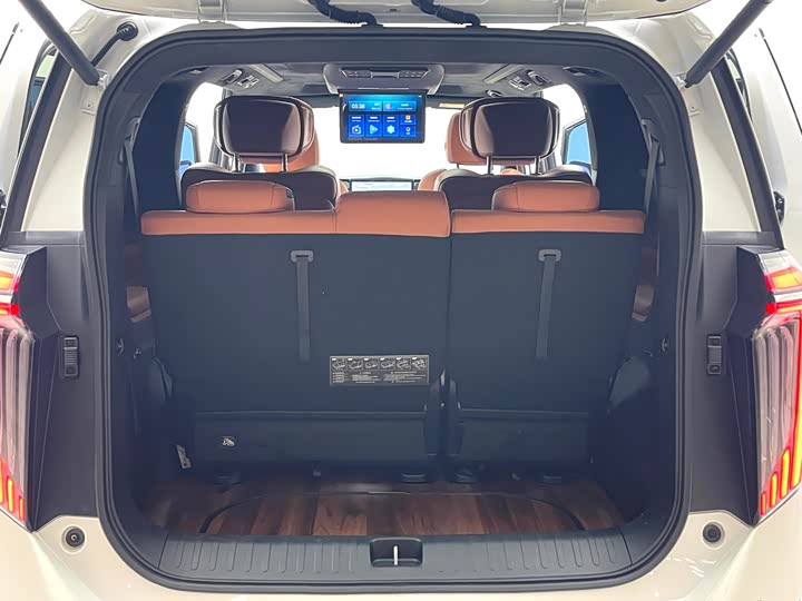 GAC Trumpchi E9 2024 2024款 E9 贺岁版