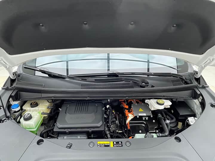 GAC Trumpchi E9 2024 2024款 E9 贺岁版