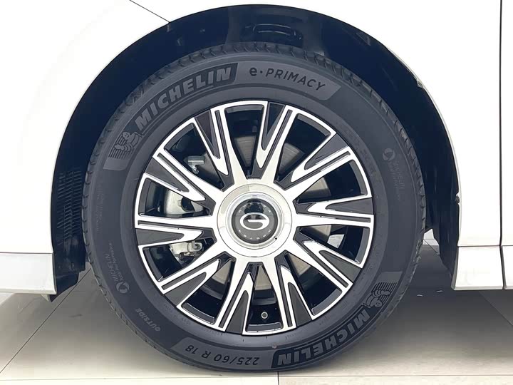 GAC Trumpchi E9 2024 2024款 E9 贺岁版