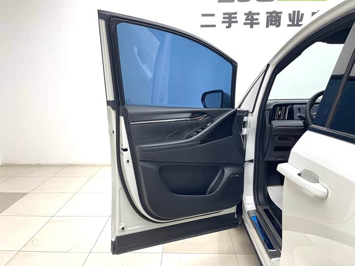 GAC Trumpchi E9 2024 2024款 E9 贺岁版