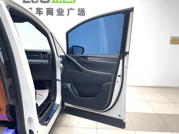 GAC Trumpchi E9 2024 2024款 E9 贺岁版