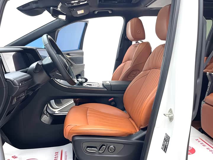 GAC Trumpchi E9 2024 2024款 E9 贺岁版