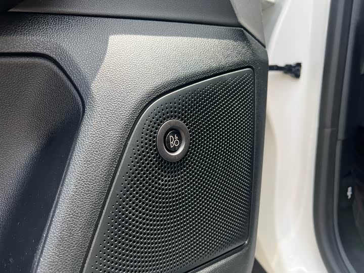 Ford Focus Active 2021 2021款 EcoBoost 180 自动劲潮型