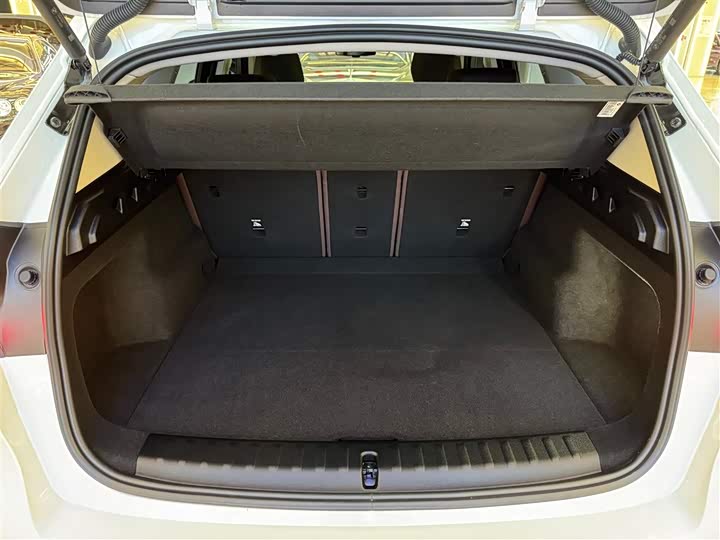 BMW X1 2024 2024款 sDrive25Li X设计套装