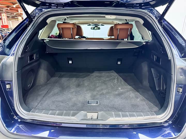 Subaru Outback 2021 2021款 2.5i 旗舰版 EyeSight