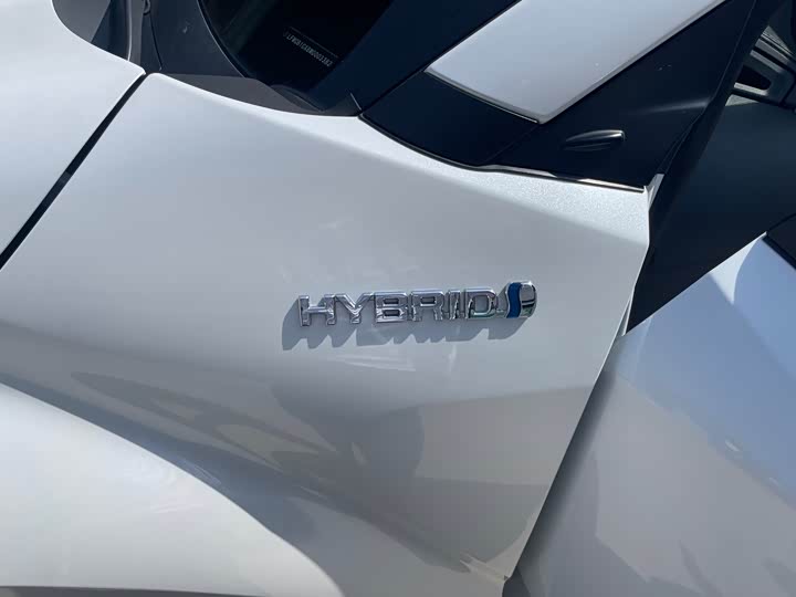 Toyota Izoa 2021 2021款 双擎 2.0L 奕享版