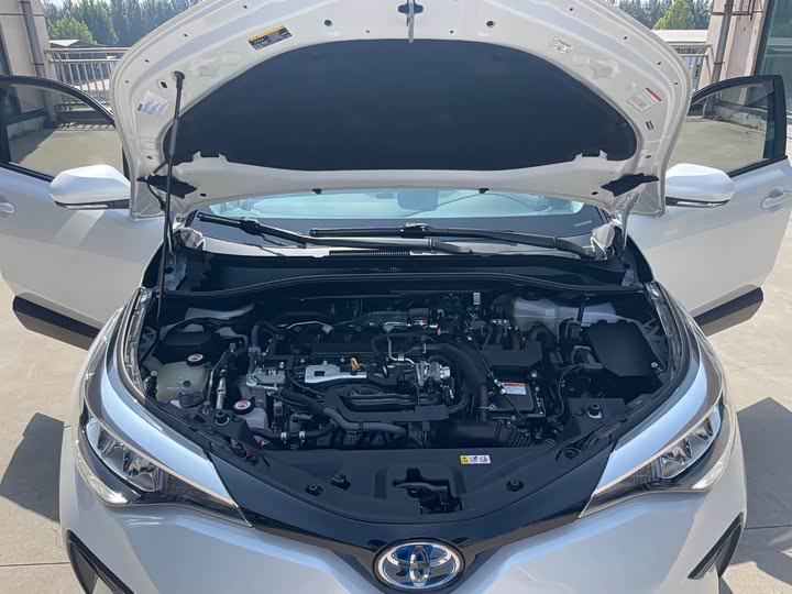 Toyota Izoa 2021 2021款 双擎 2.0L 奕享版