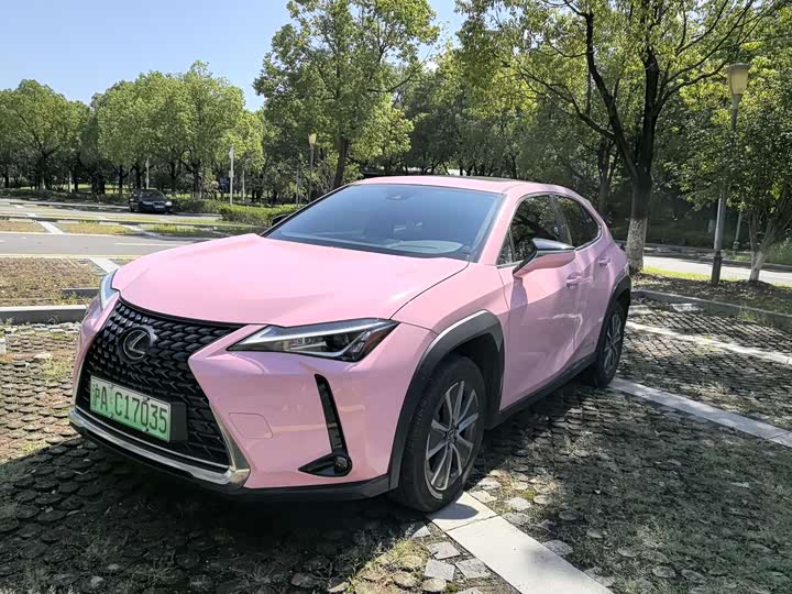 Lexus UX Hybrid 2020 2020款 300e 纯·悦版