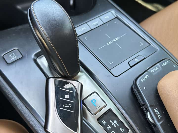 Lexus UX Hybrid 2020 2020款 300e 纯·悦版