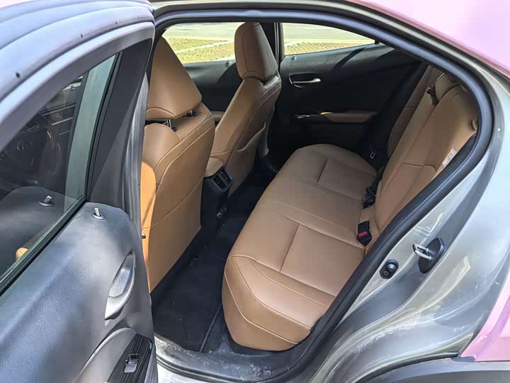 Lexus UX Hybrid 2020 2020款 300e 纯·悦版