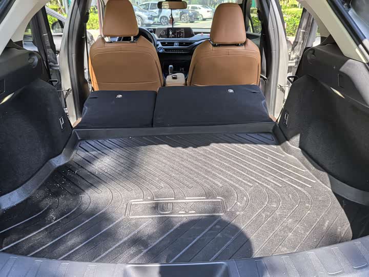 Lexus UX Hybrid 2020 2020款 300e 纯·悦版