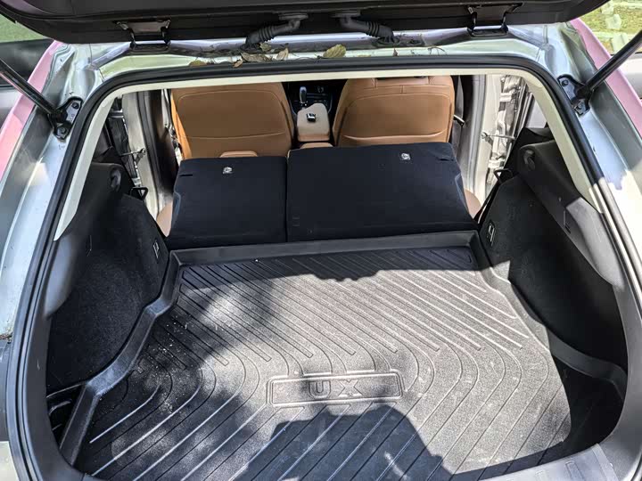 Lexus UX Hybrid 2020 2020款 300e 纯·悦版