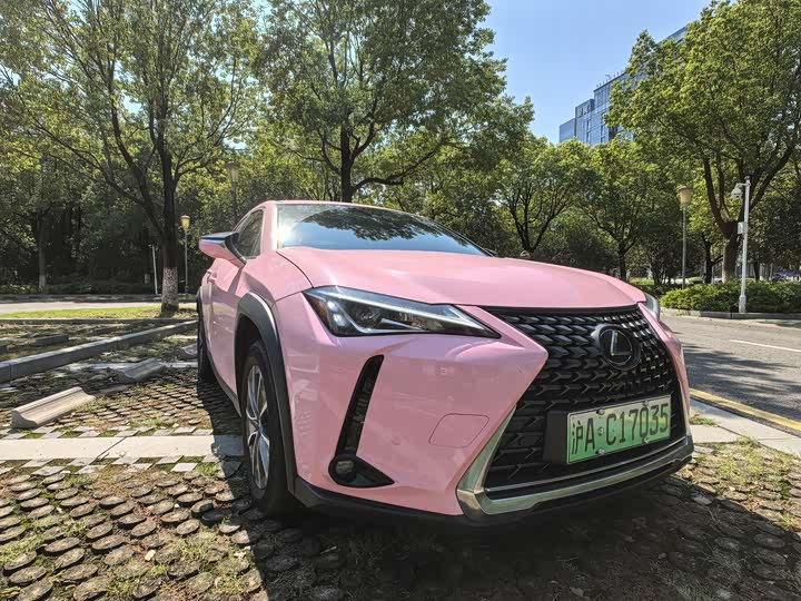 Lexus UX Hybrid 2020 2020款 300e 纯·悦版