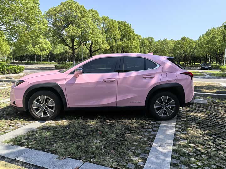Lexus UX Hybrid 2020 2020款 300e 纯·悦版