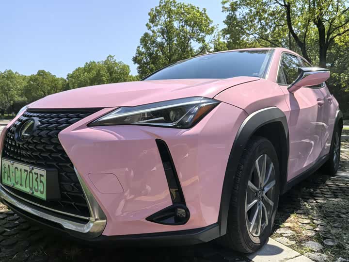 Lexus UX Hybrid 2020 2020款 300e 纯·悦版