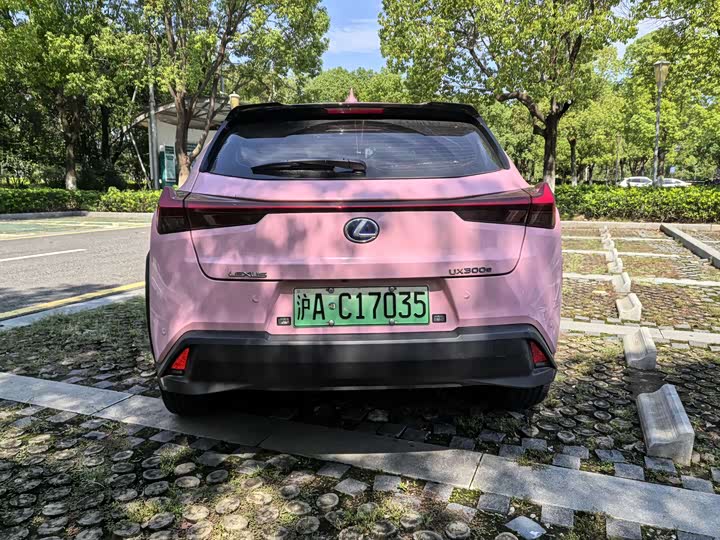 Lexus UX Hybrid 2020 2020款 300e 纯·悦版