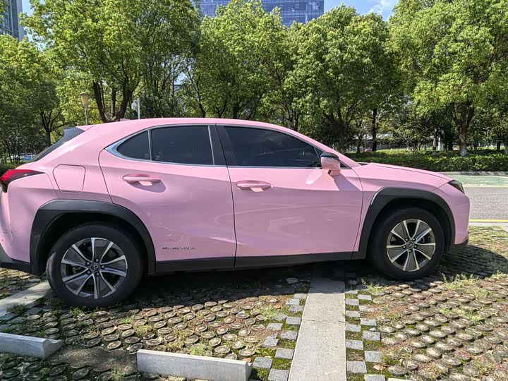 Lexus UX Hybrid 2020 2020款 300e 纯·悦版