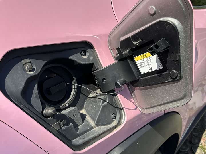 Lexus UX Hybrid 2020 2020款 300e 纯·悦版