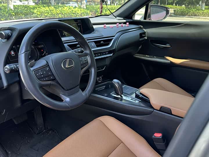 Lexus UX Hybrid 2020 2020款 300e 纯·悦版