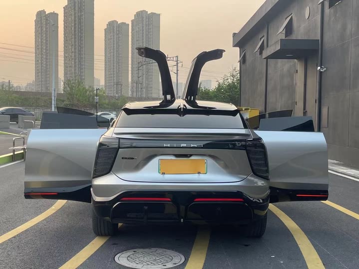 HiPhi X 2022 2022款 智远版6座 长续航版