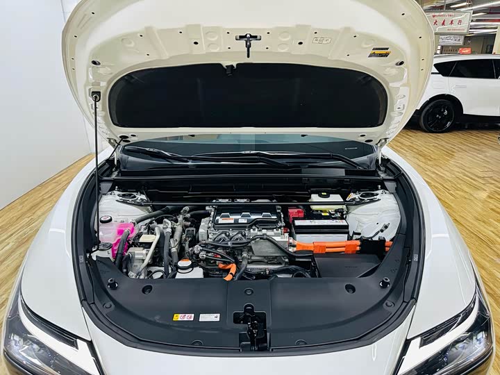 Lexus RZ 2023 2023款 450e 四驱纵享版